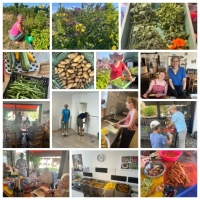 Aktiver Freitag & Offener Mittagstisch